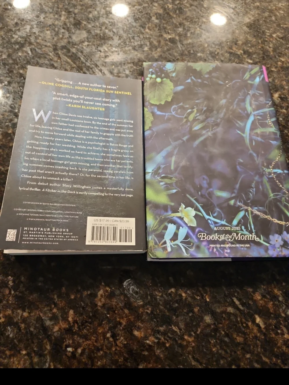 2 Stacy Willingham Books